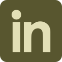 LinkedIn Icon